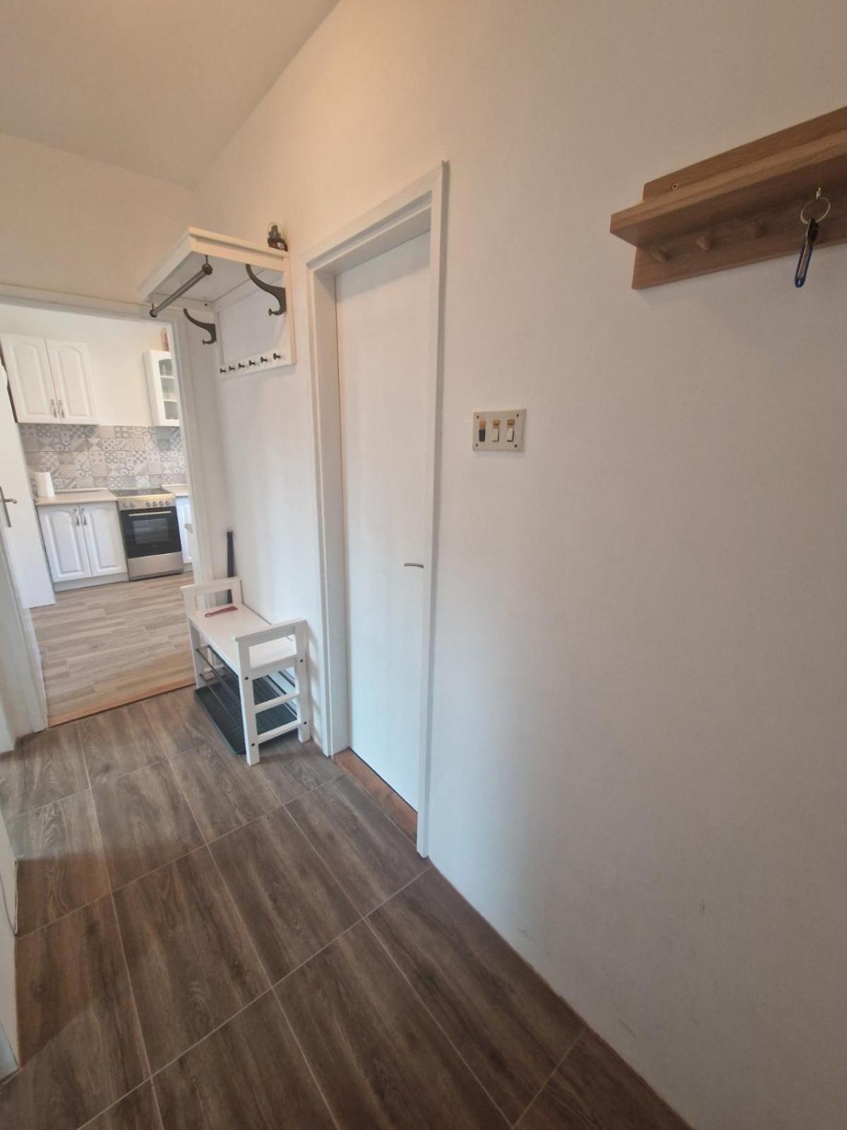 Apartman Mamut Διαμέρισμα Donji Milanovac Εξωτερικό φωτογραφία